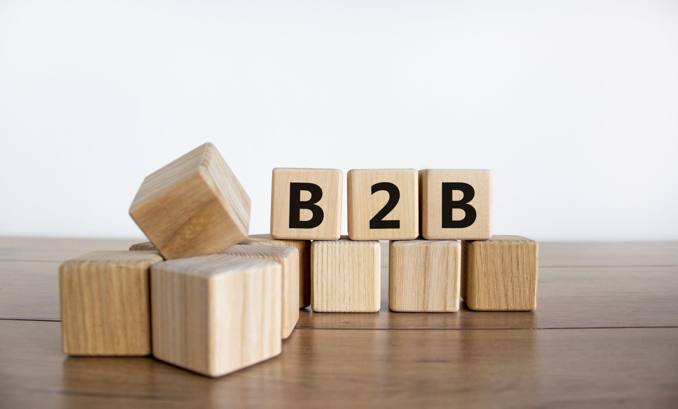 Lee más sobre el artículo Guía sobre el servicio de atención al cliente B2B